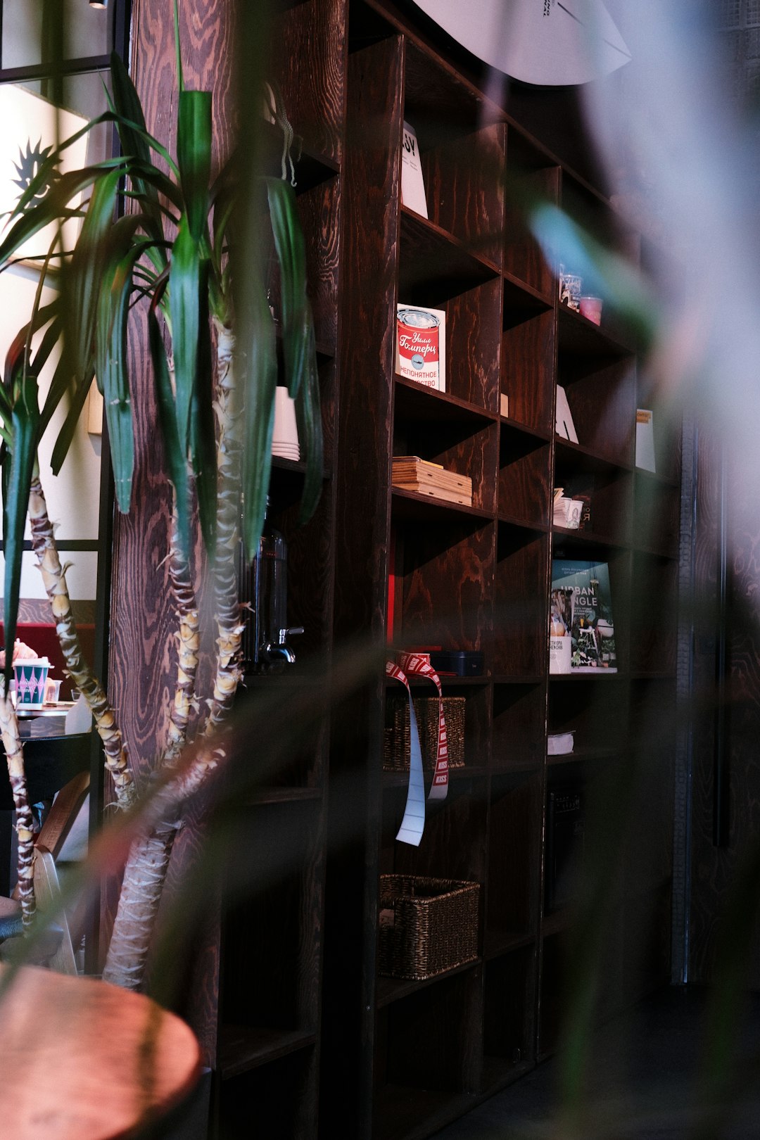 hero-img a-wooden-bookshelf-is-displayed-with-books-mamcskob4eo